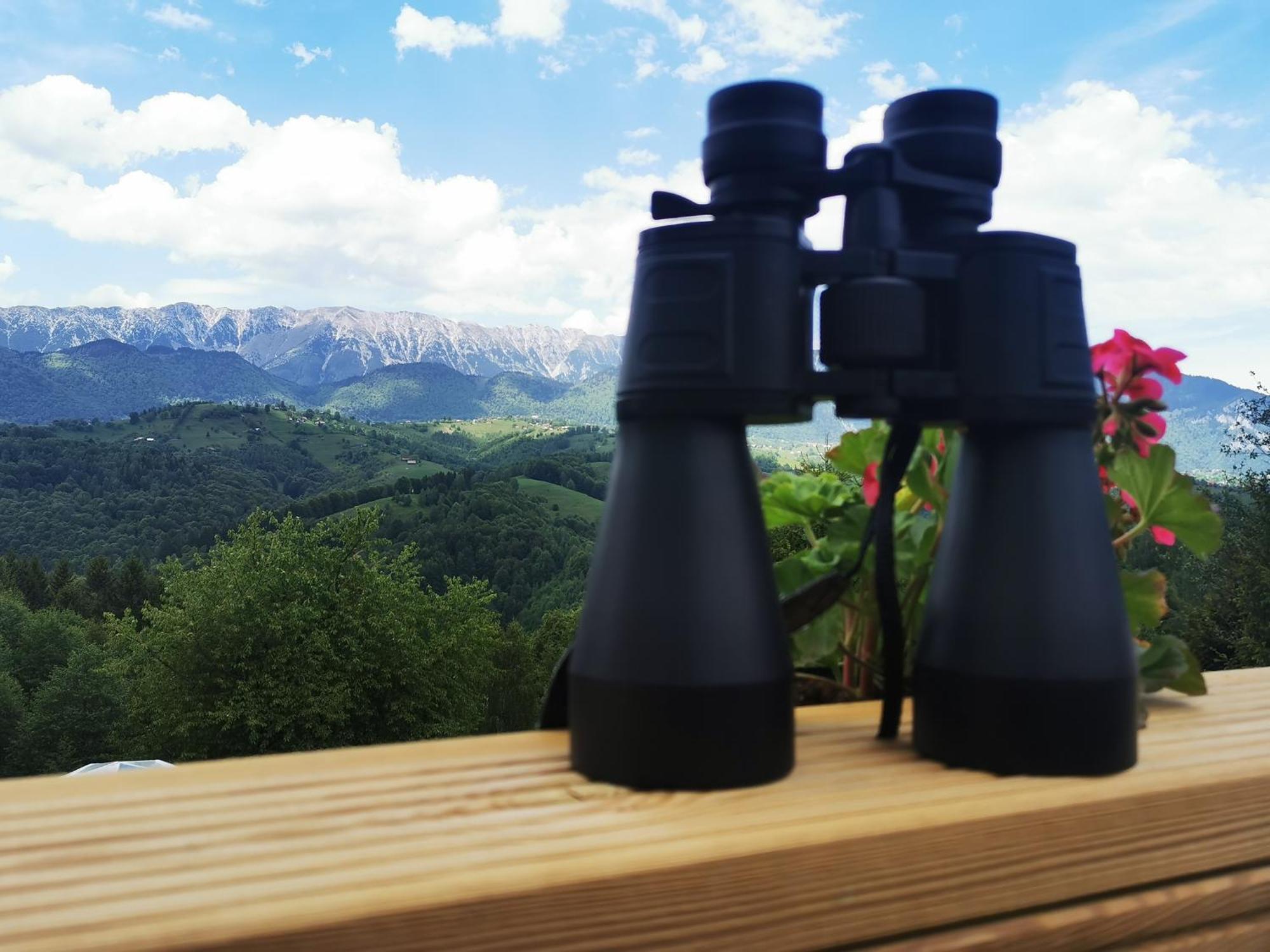 Luxuszelt Glamping Zazen