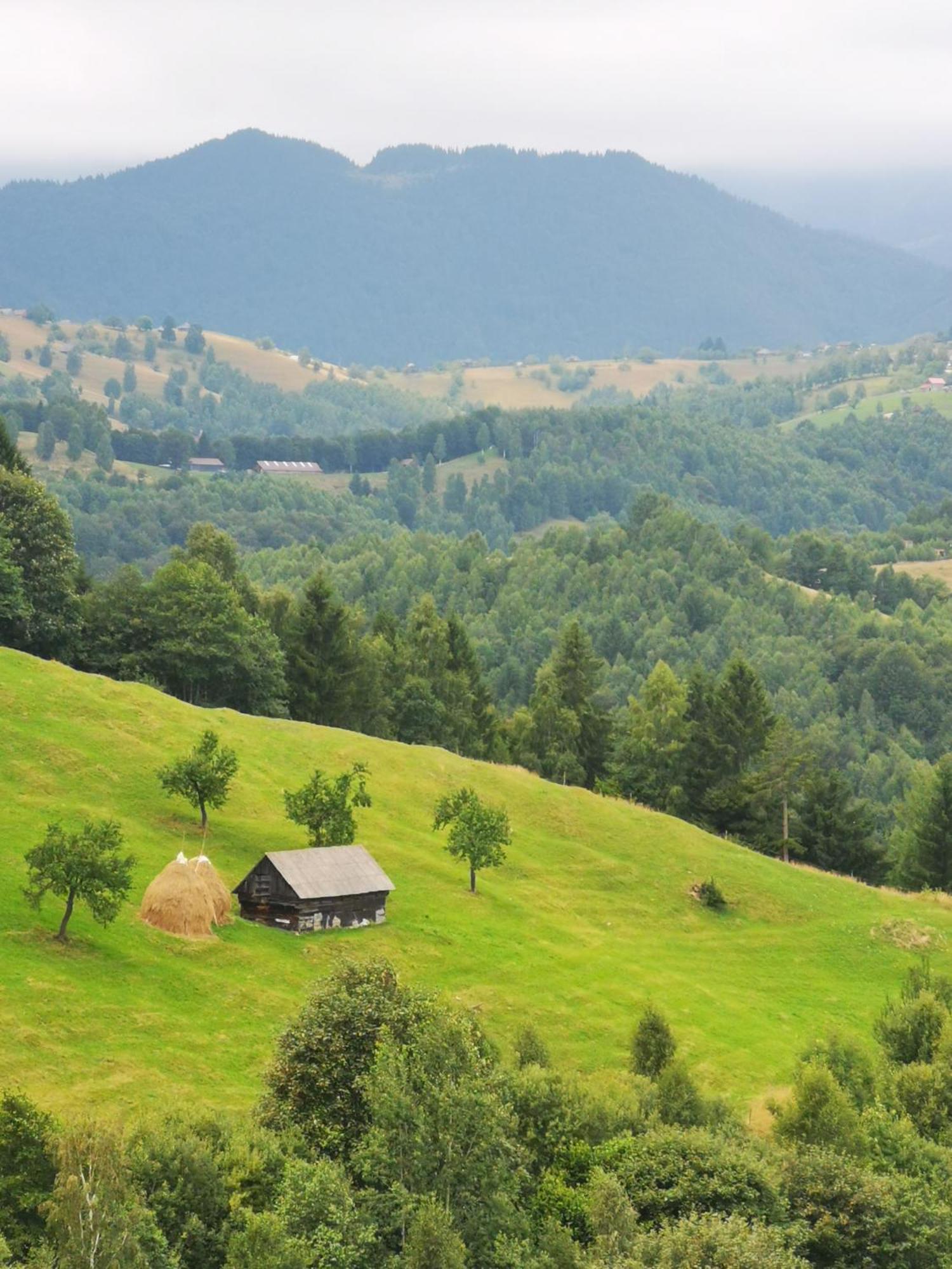 Glamping Zazen Luxuszelt *