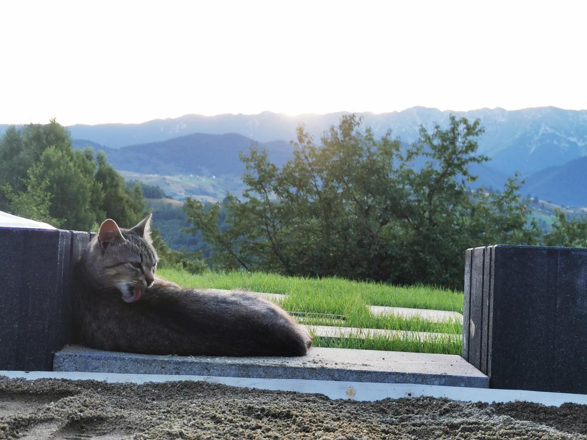 Glamping Zazen *