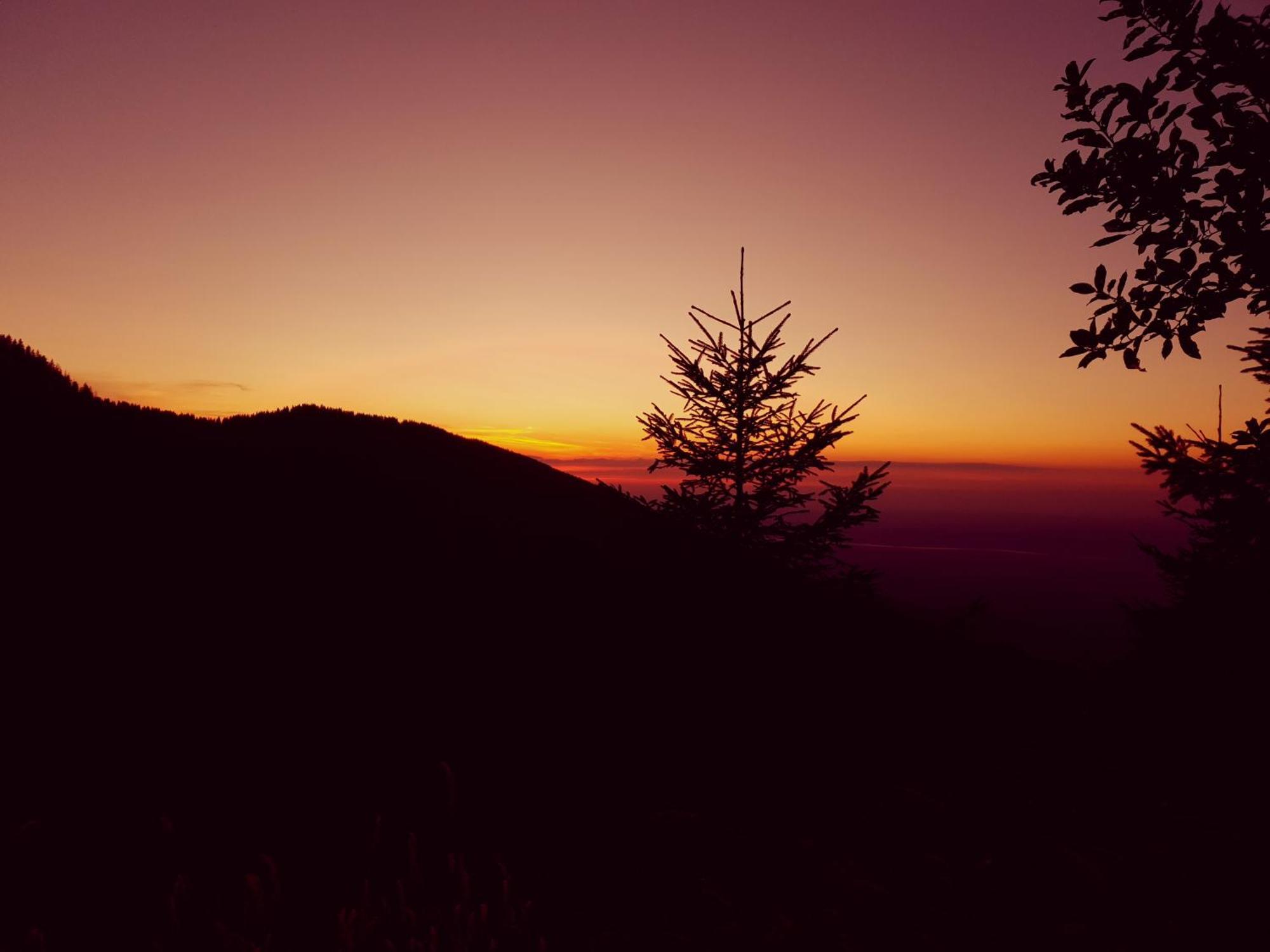 Glamping Zazen Drumu Carului