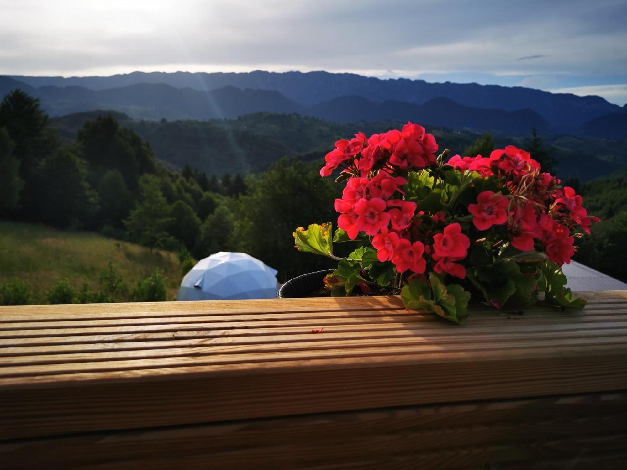 Glamping Zazen Luxuszelt