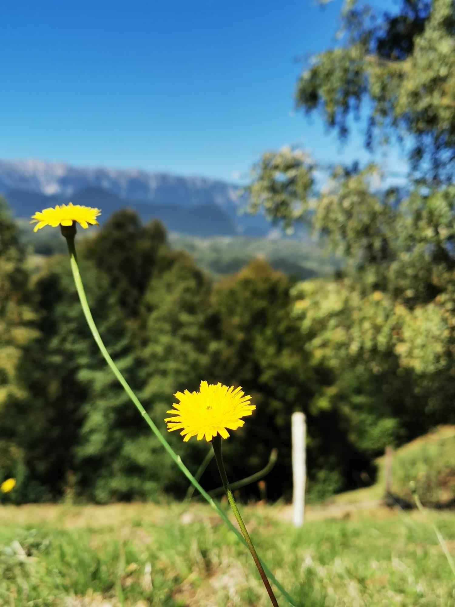 Glamping Zazen Luxuszelt